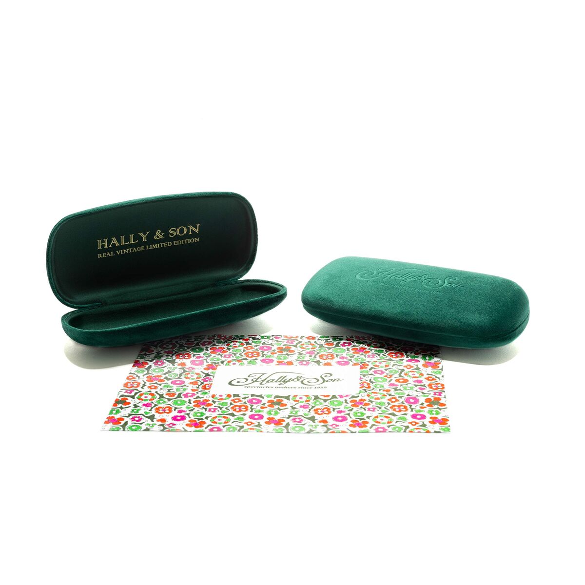 Unisex Sunglasses Hally & Son HS004S02-4