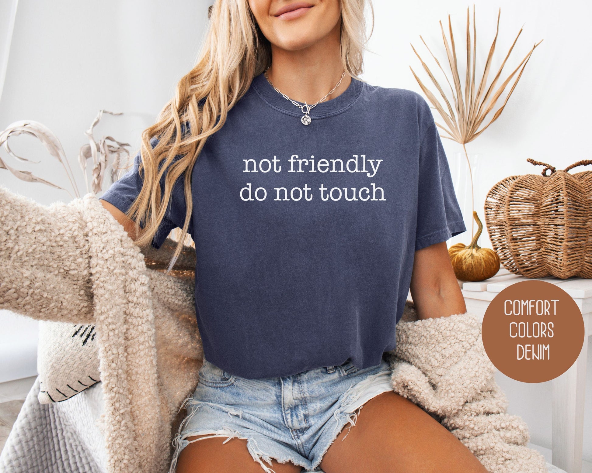 Not Friendly Do Not Touch Comfort Colors Shirt-6