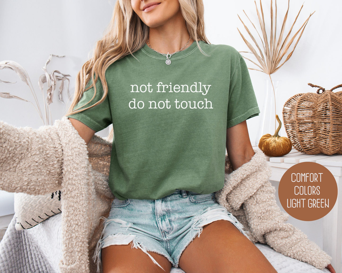 Not Friendly Do Not Touch Comfort Colors Shirt-8