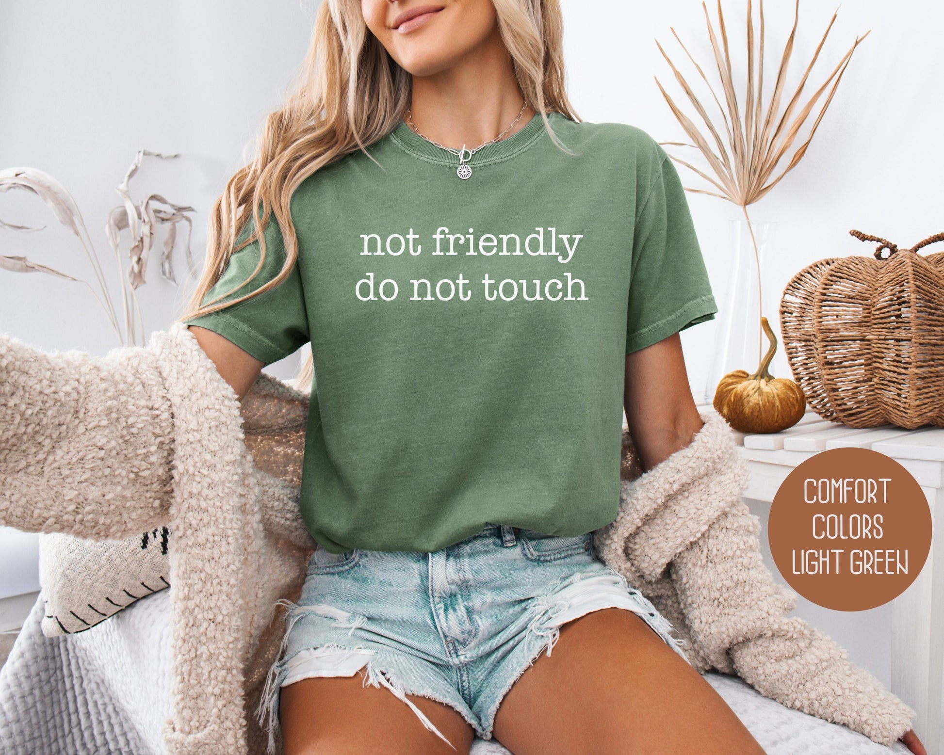 Not Friendly Do Not Touch Comfort Colors Shirt-8