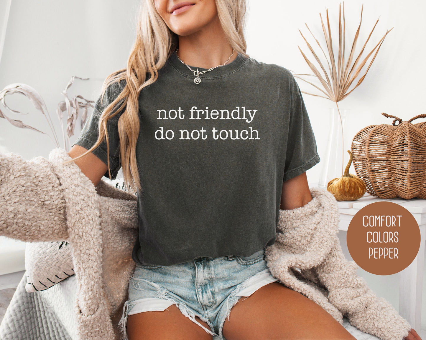 Not Friendly Do Not Touch Comfort Colors Shirt-11
